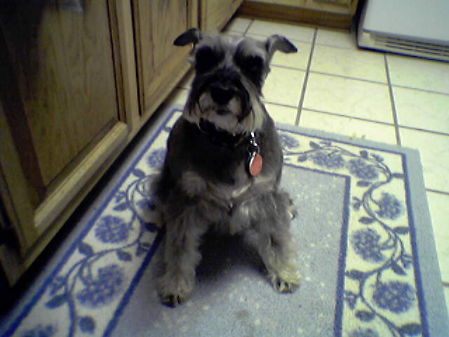 barklie.jpg